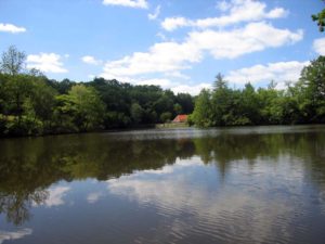 De watermolen achter de dijk van Le Touroulet